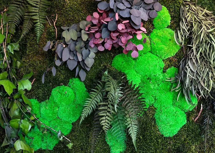 Penthouse With View In Center Apartment Split